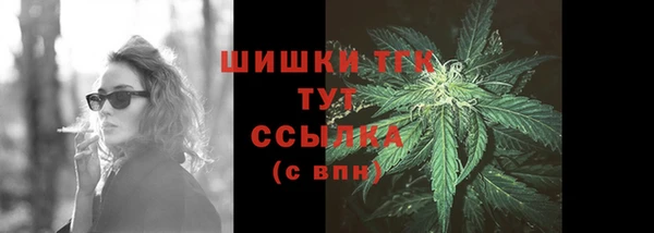 прущий лед Бикин