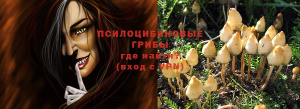 Альфа ПВП Новозыбков